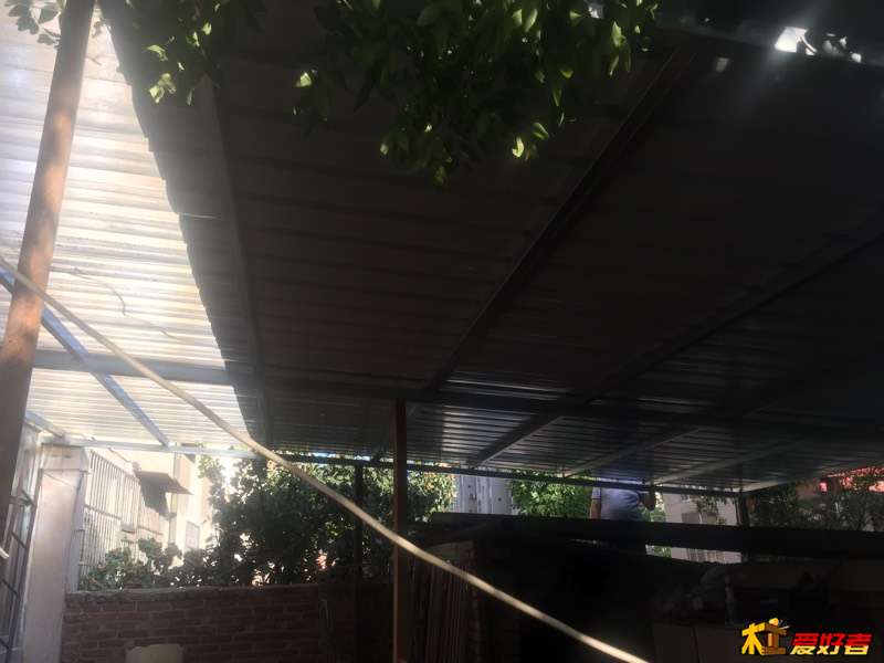 163712tpxzm1wjf7tvpx1o.jpg