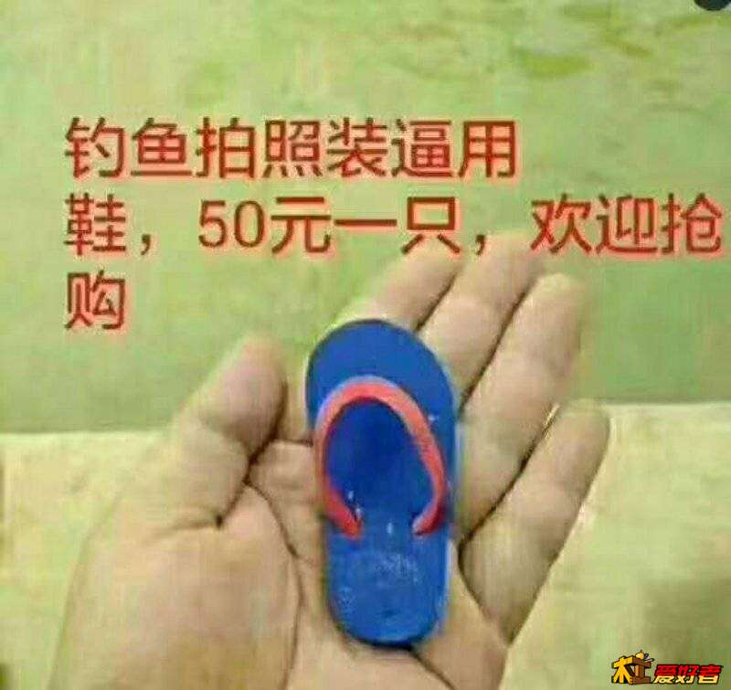 145420krl82sl4g24zxbwm.jpg