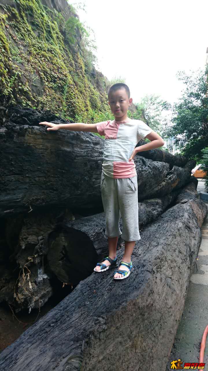 微信图片_20171009131304.jpg