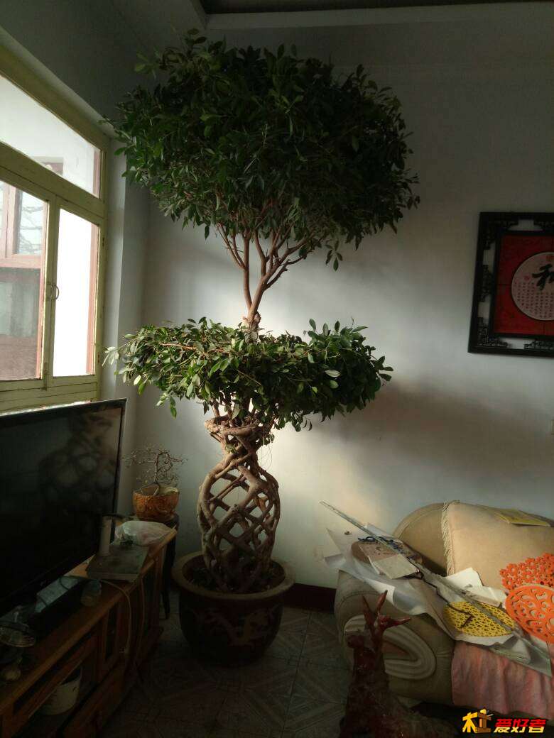 144836ejjkwr7oueiqoiwy.jpg