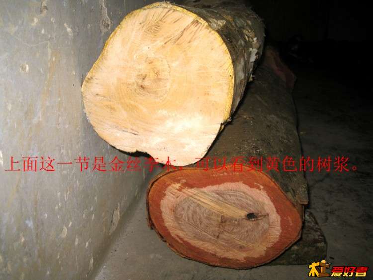 IMG_5986_副本s上面这一节木是金丝李，下面这一节是马力光木.jpg