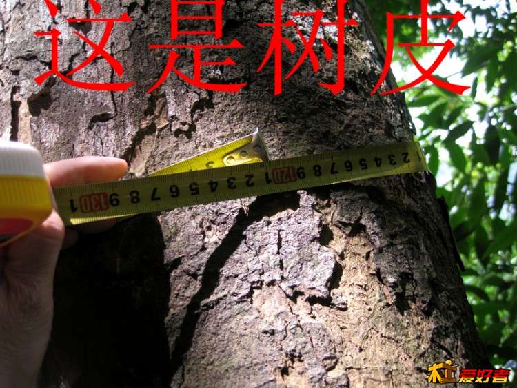 IMG_5867_副本.jpg