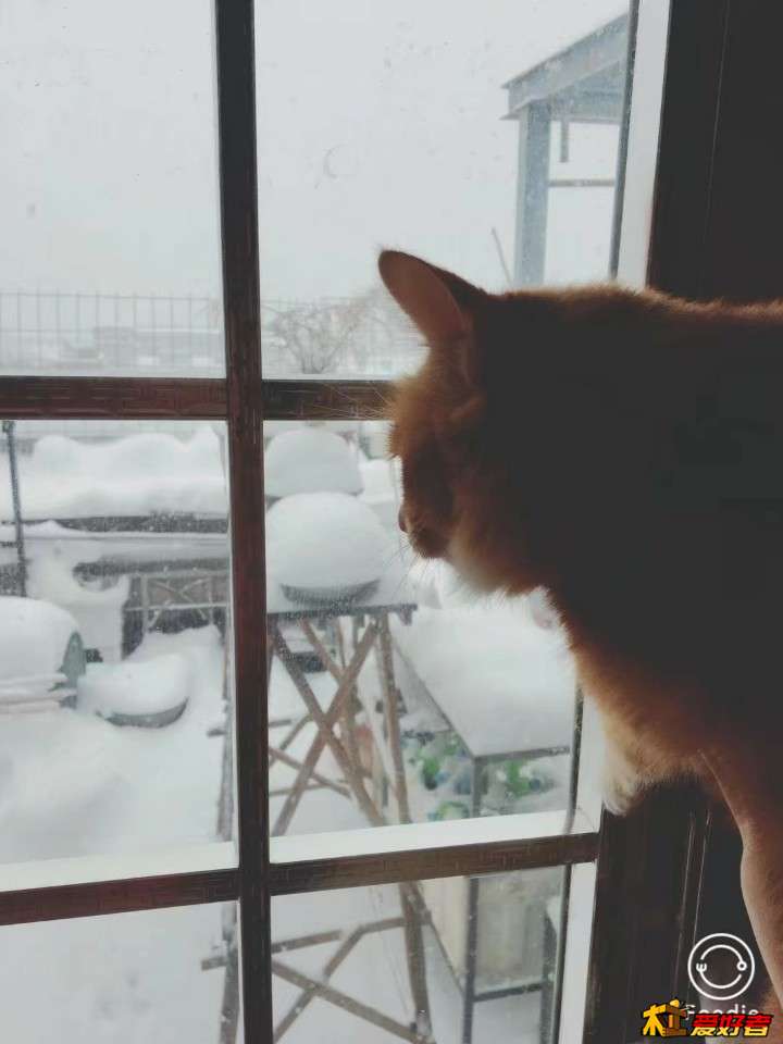 微信图片_20180107092020.jpg