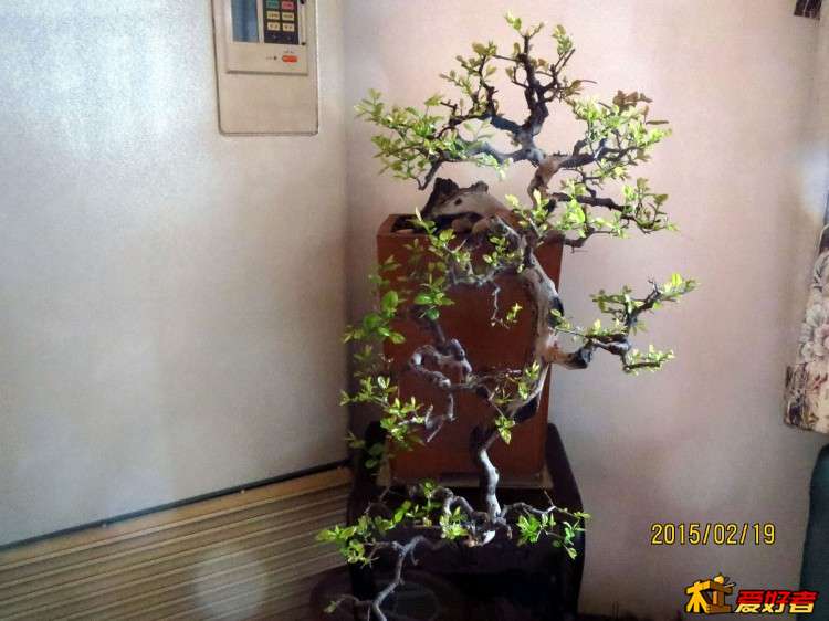 照片 026.jpg