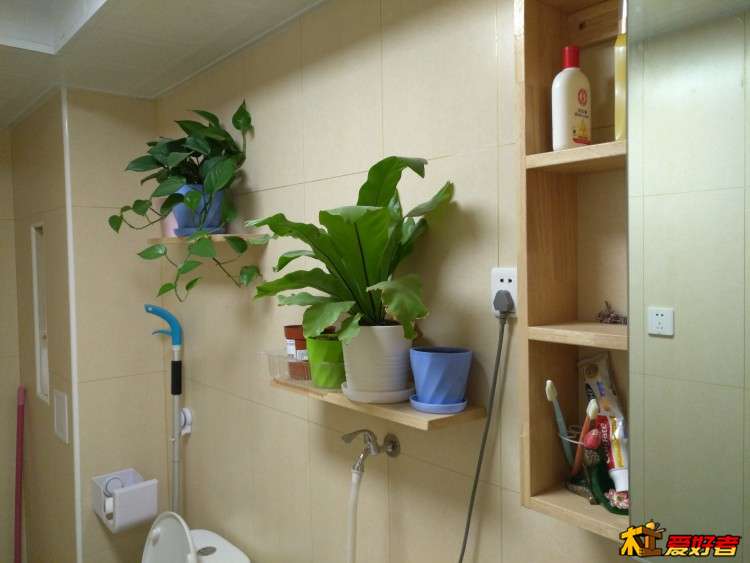 绿植托板.jpg