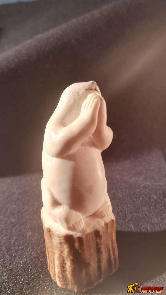 100447jyqyqx0es8inxyni.jpg