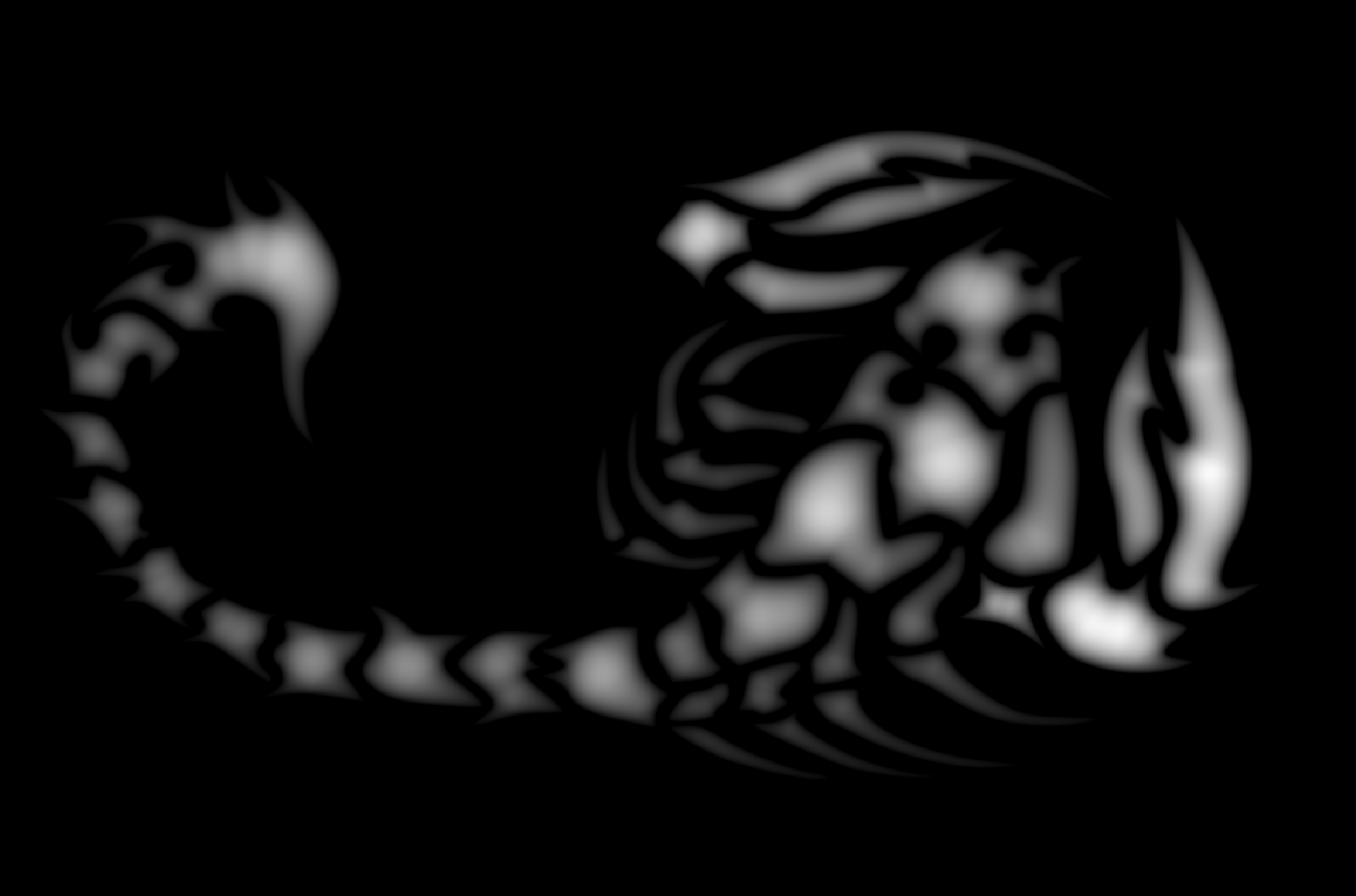 蝎子46.bmp