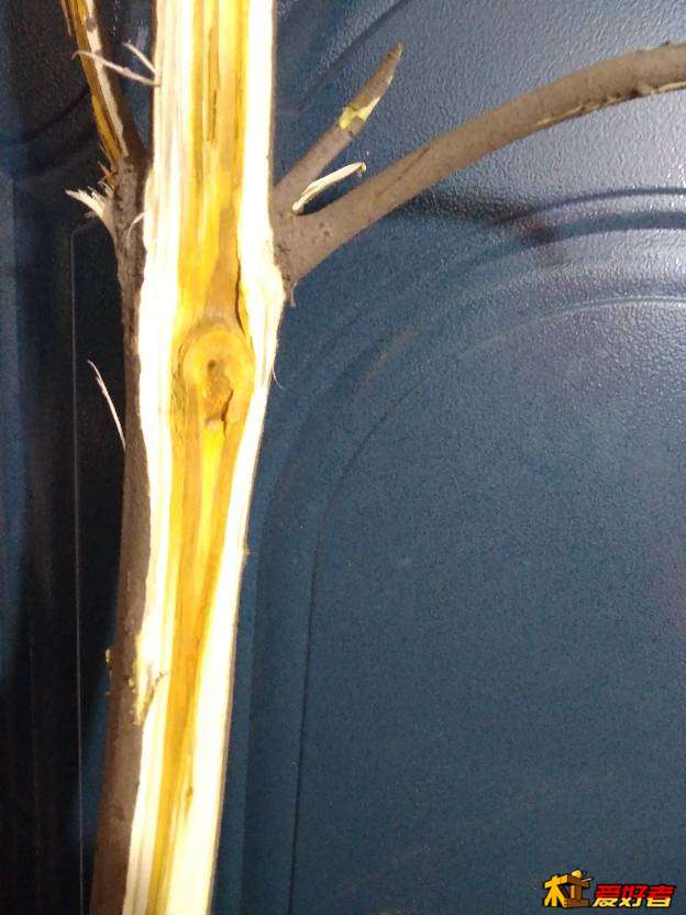 111559pnfkaa5xkxnka376.jpg