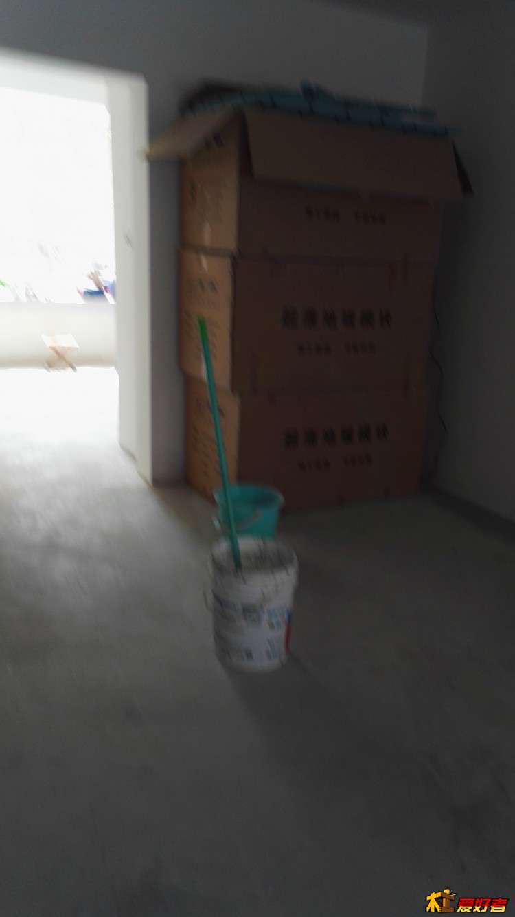 IMG_20170925_121118.jpg