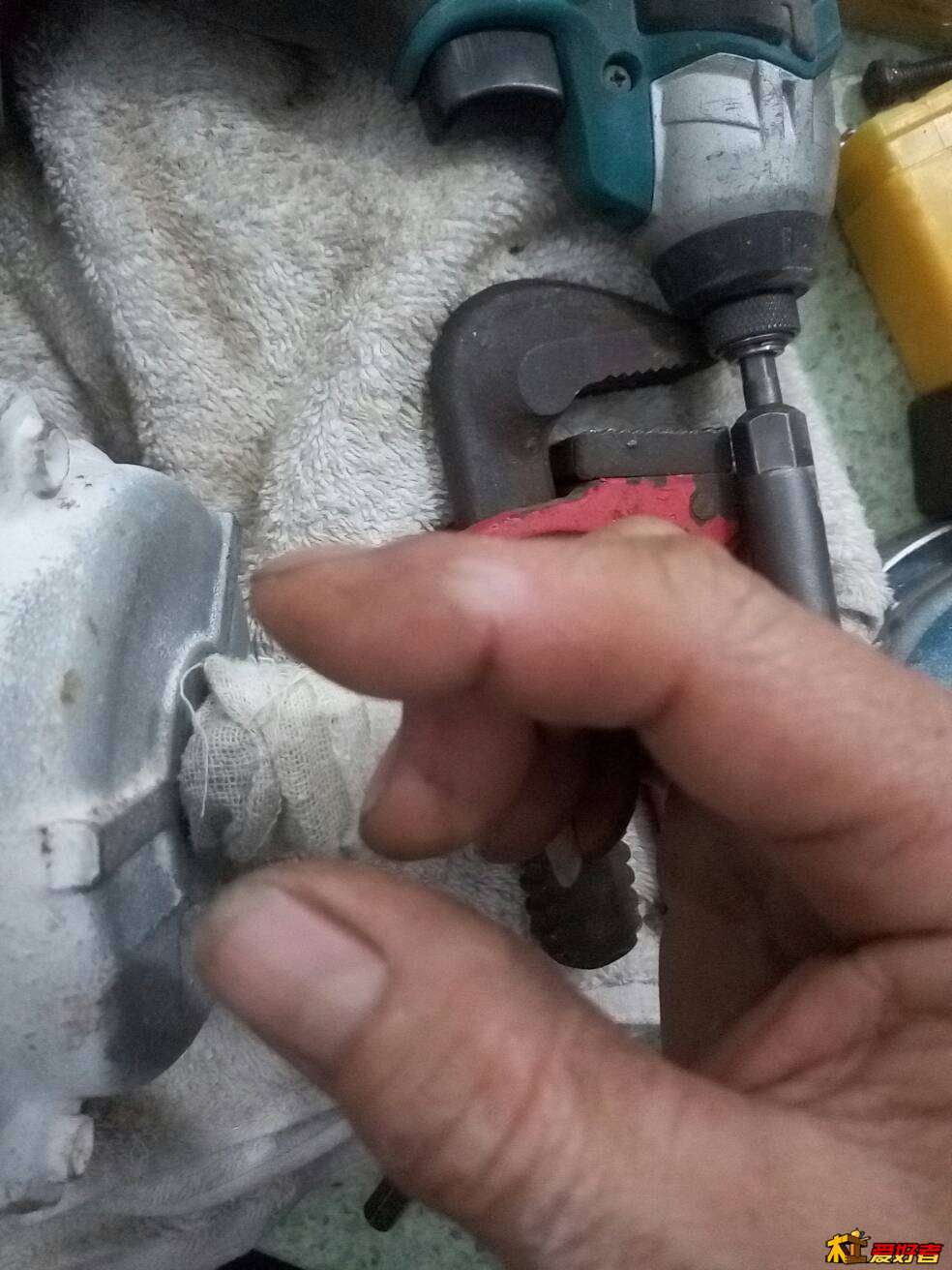 135951wngadgrc3hrubnib.jpg