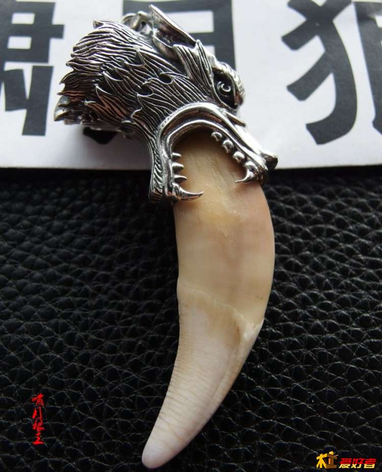 1ff0fd77d7f1117bbaf72d0c9f4c80f9.jpg
