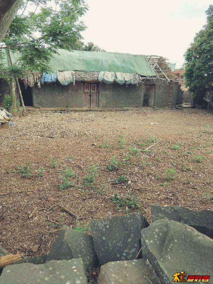 085719v46vs8q2hn2882vx.jpg