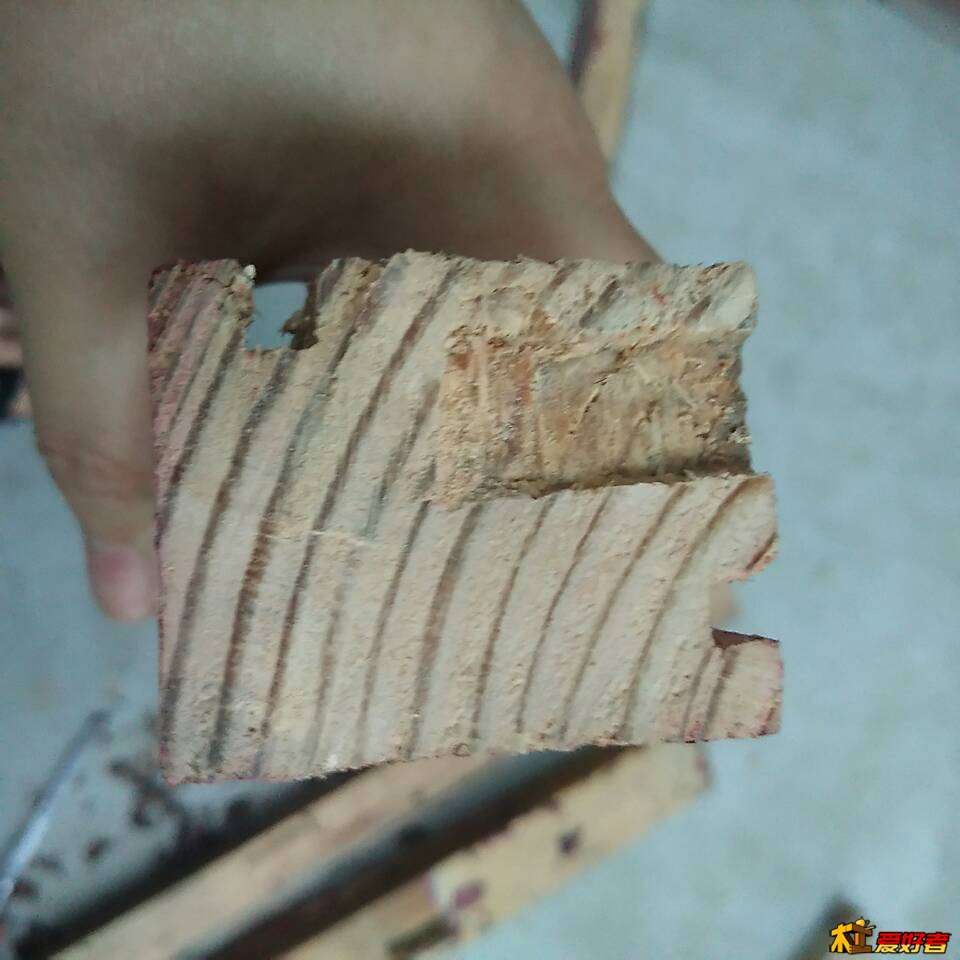 180646bgsuy9hh9x52oouz.jpg