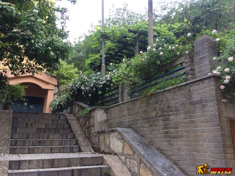 155411byc1n5e1v1kn5rc0.jpg