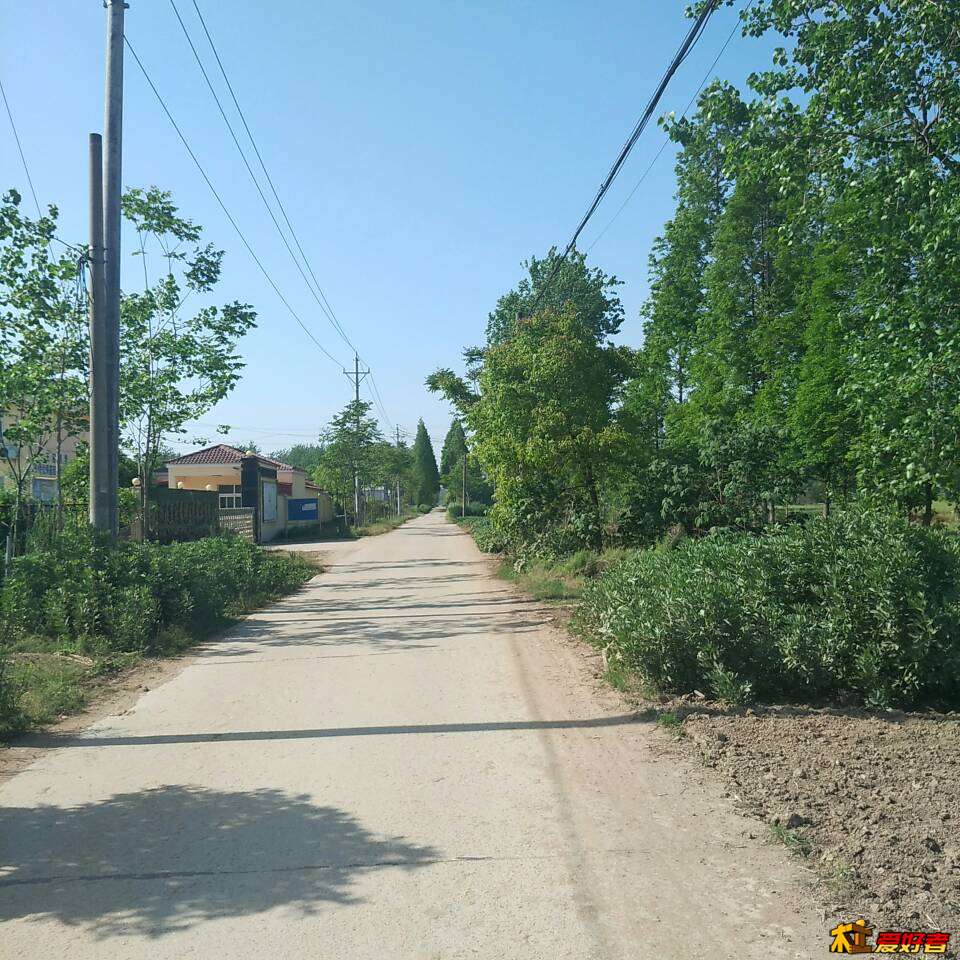 223943csm2r12ir2kfymkm.jpg