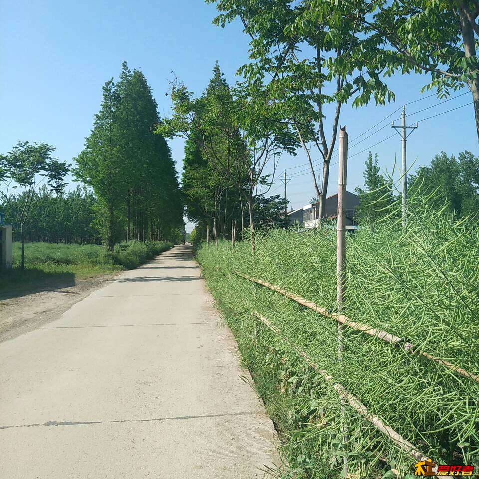 223952zgur7ycyuzgaozqb.jpg