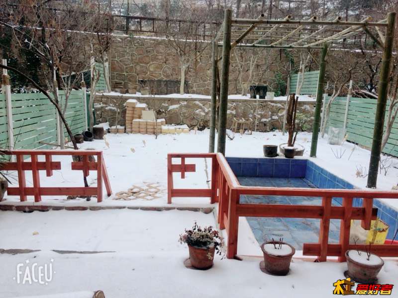 003155divaykovojai2zis.jpg