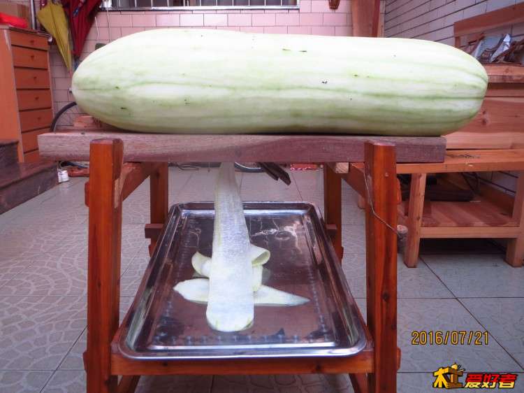 冬瓜干36.JPG