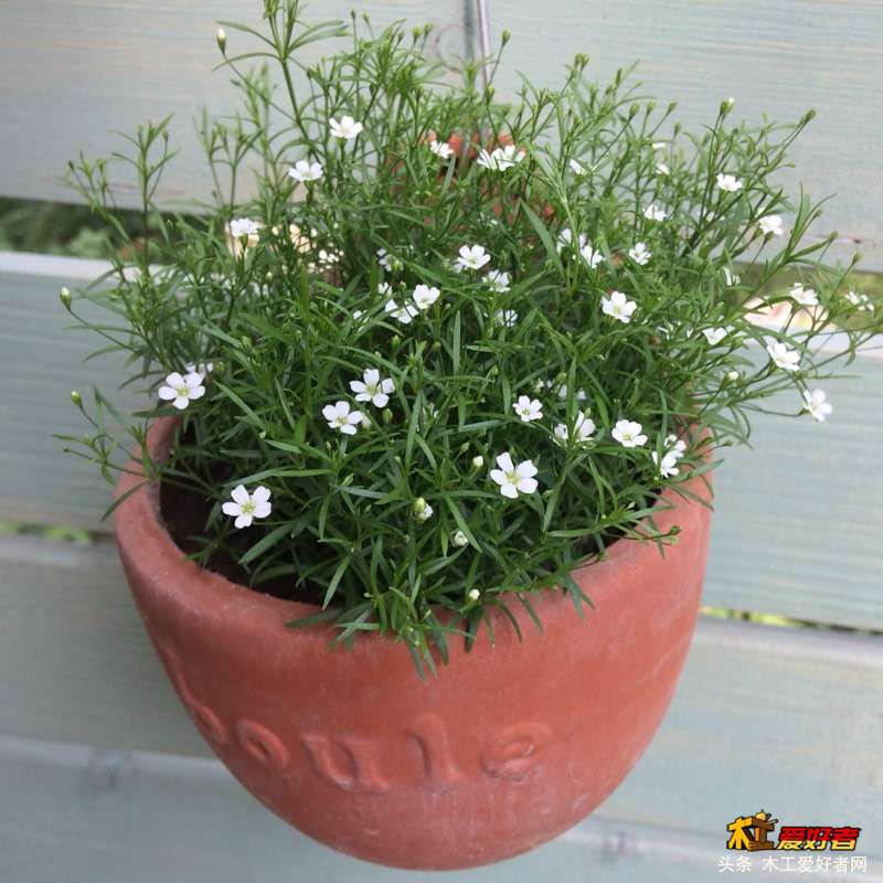 201027zh0ukdxsd3t614sd.jpg