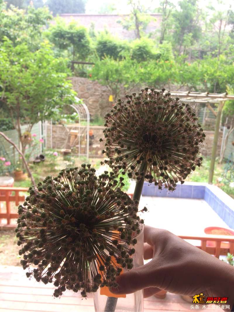 201252lq00jaqd6y1c0vh8.jpg