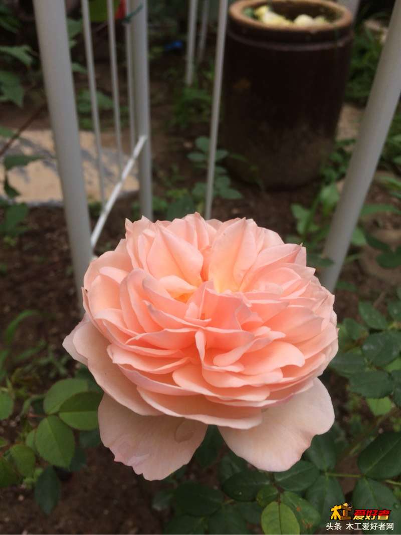 193051bdn88inx9t68i4ly.jpg