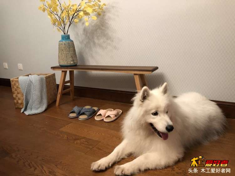 WeChat Image_20180702214246.jpg