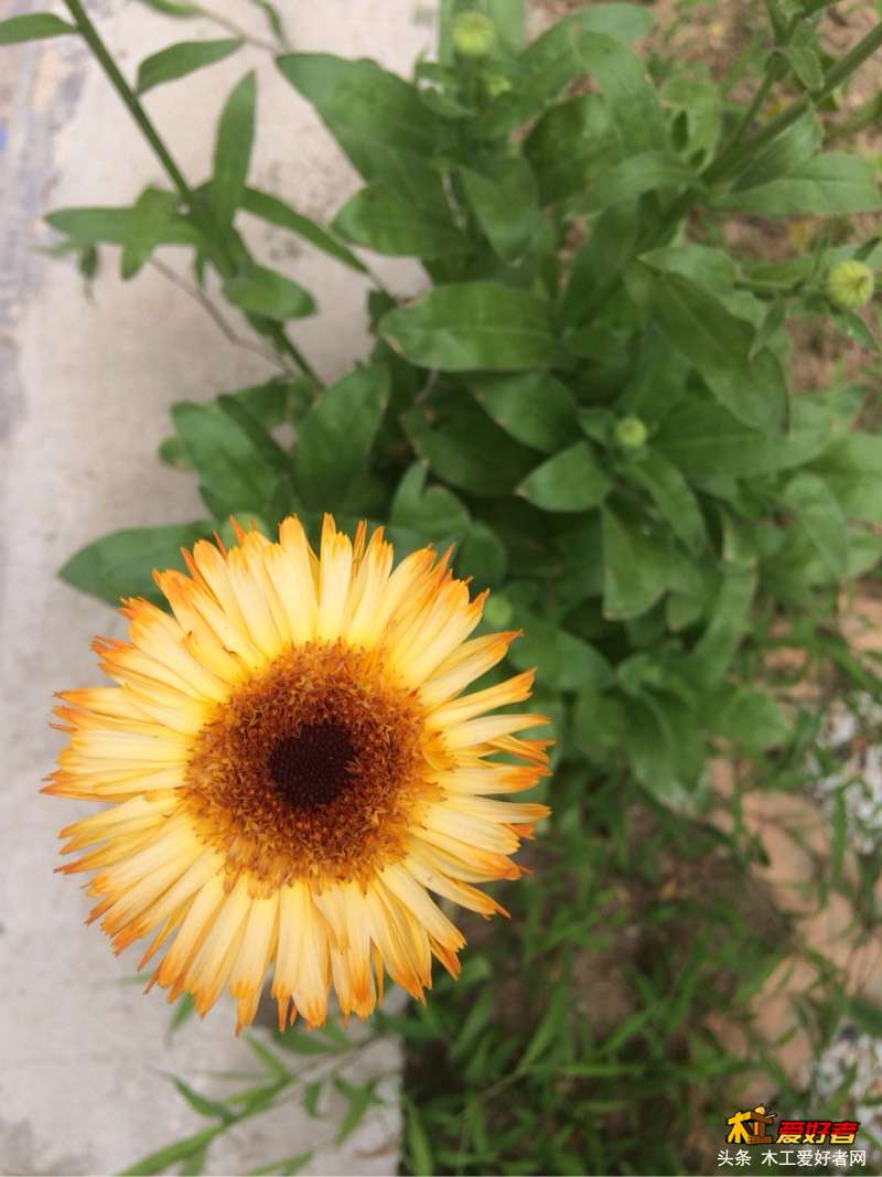 192549lvv88583byq63iv0.jpg