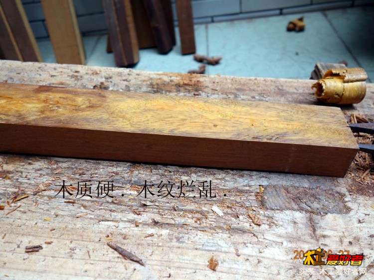 烂2 拷贝.jpg