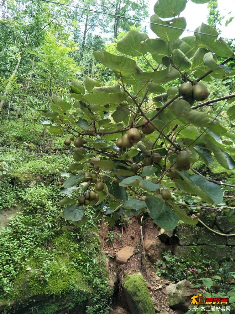 IMG20180804150703.jpg
