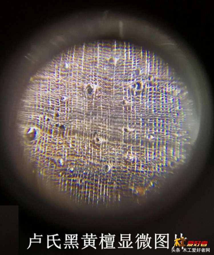 6-2卢氏黑黄檀便携式显微镜.jpg