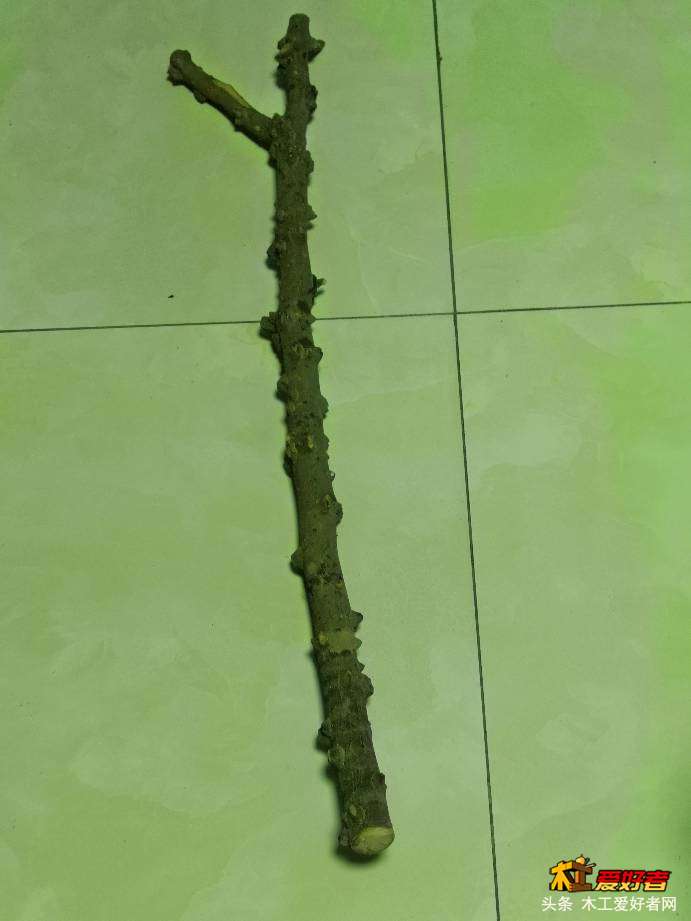 071305ycn5zp9ngxpni4xr.jpg