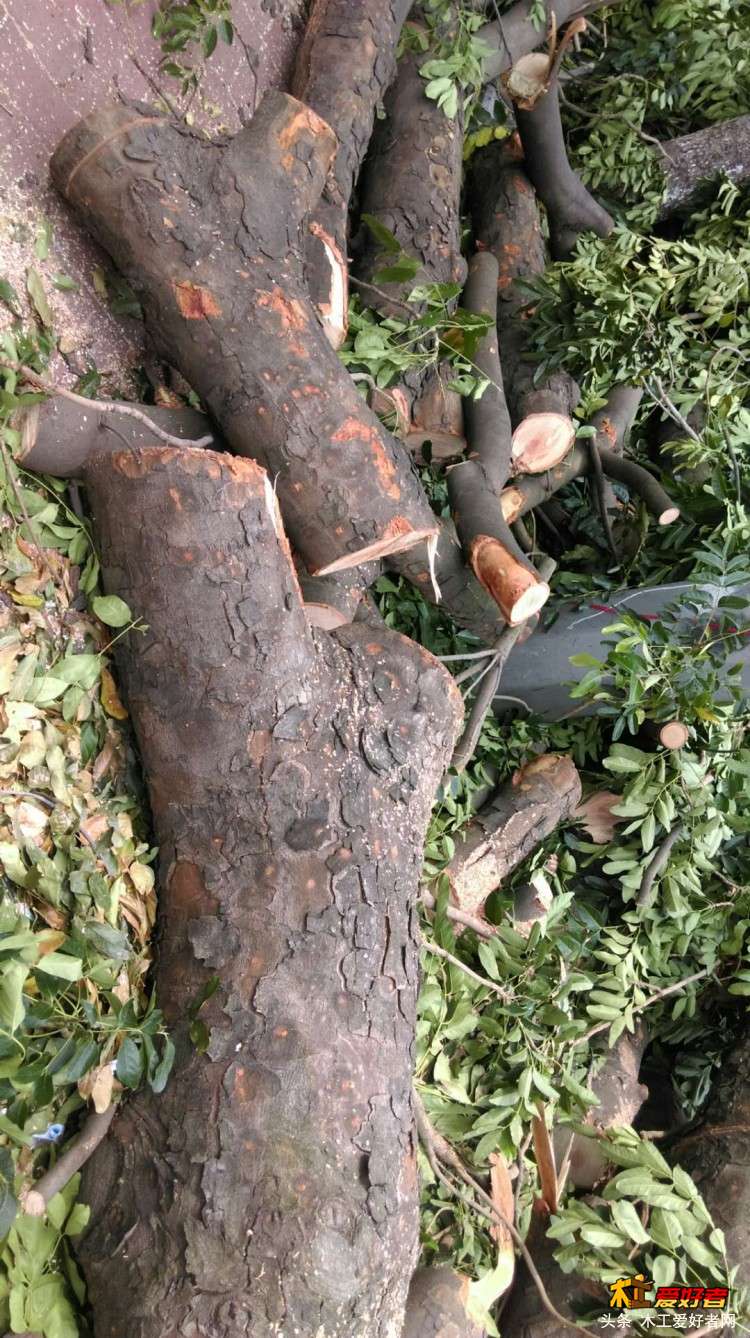 微信图片_20180923212858.jpg