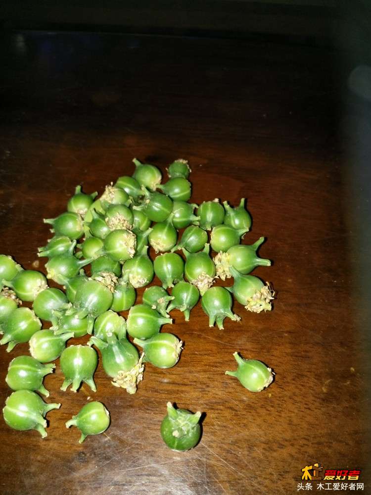IMG20170528231314.jpg