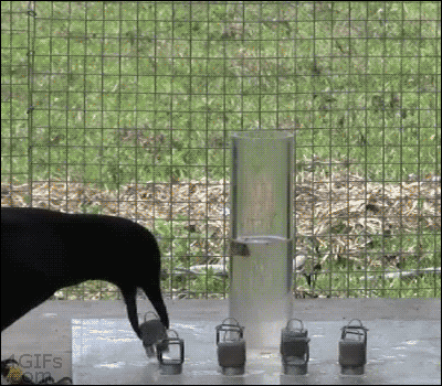 1539561650607.gif