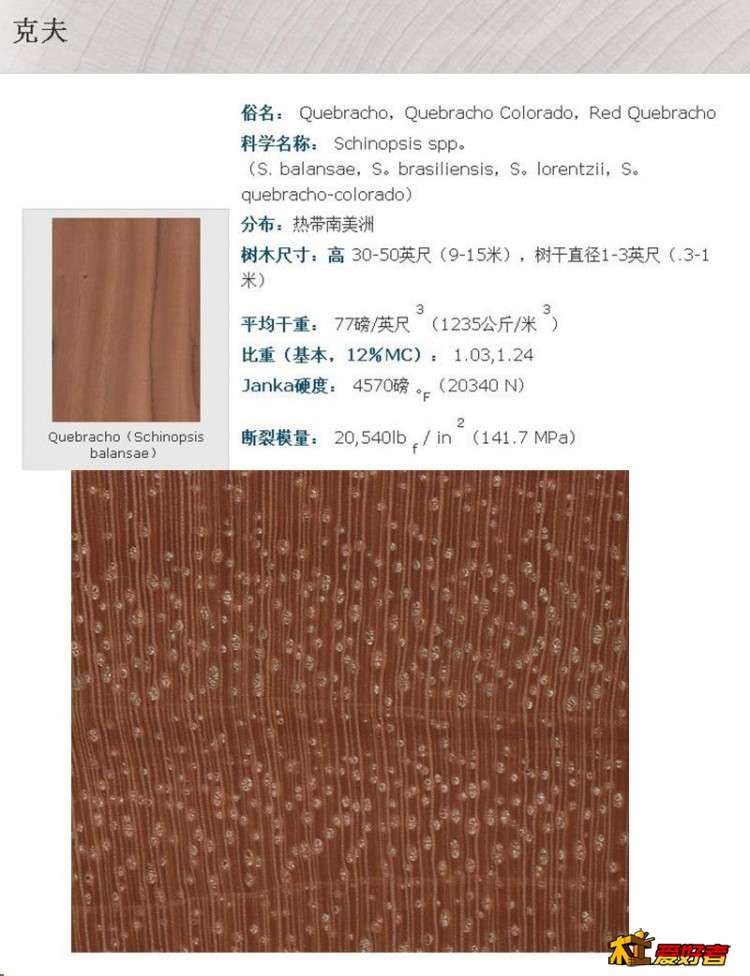 2-1红坚木图.jpg