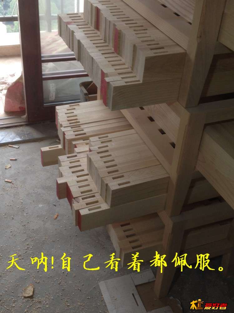 2455.jpg