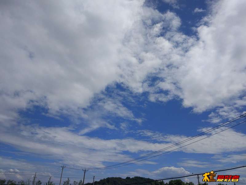 115815zh1sr1rghj9mssee.jpg
