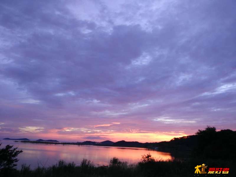 115816vg9q82d2zp2b38fd.jpg