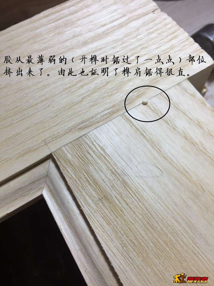2630.jpg