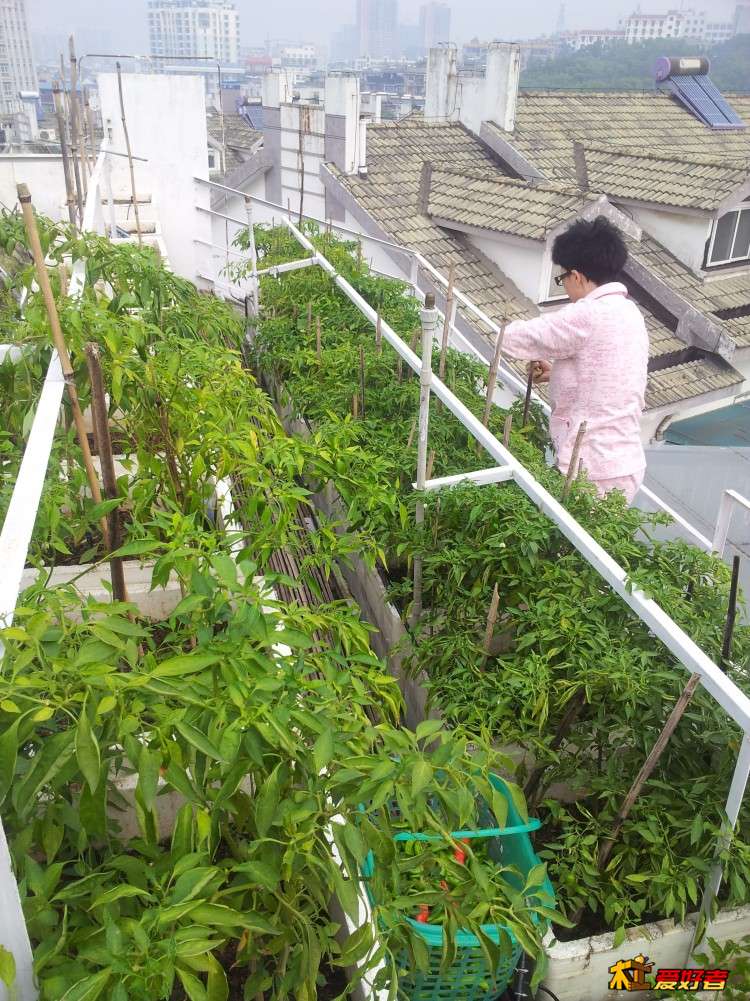 20131006_092703-wps图片.jpg