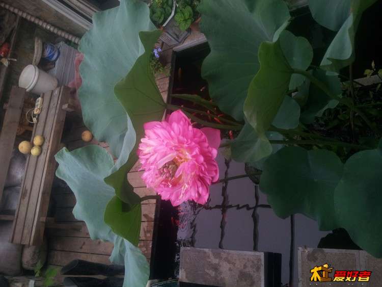 20140716_073843-wps图片.jpg