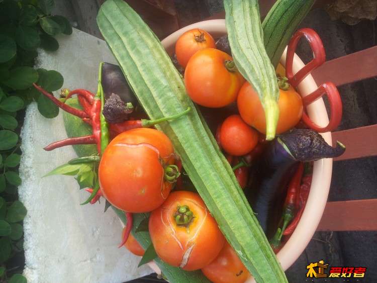 20140720_071721-wps图片.jpg