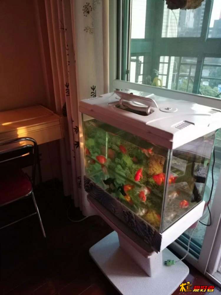 QQ图片20190323194313.jpg