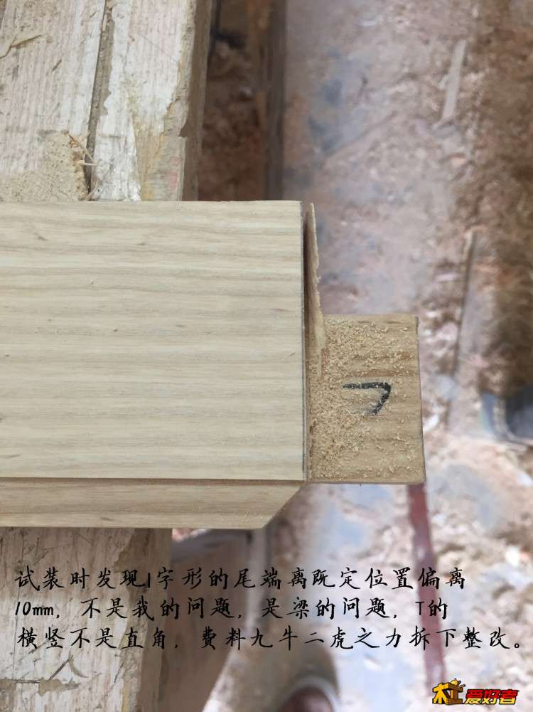 2895.jpg