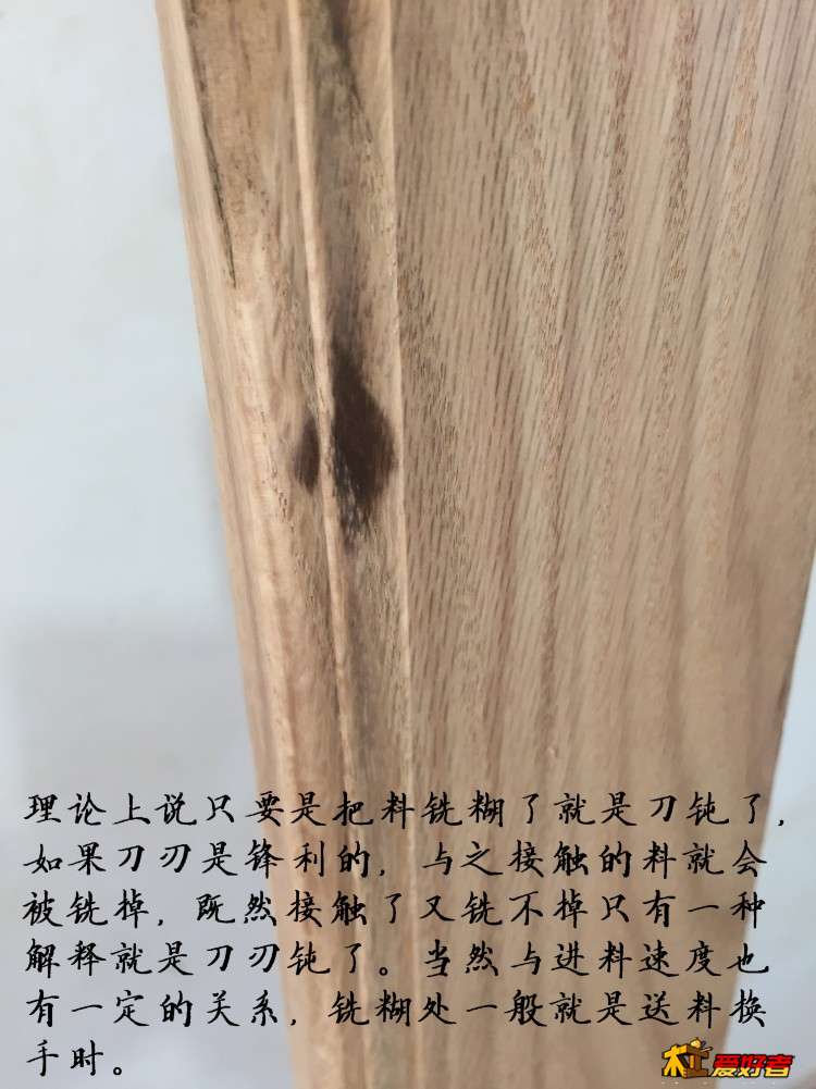 3142.jpg