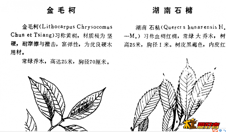 QQ图片20190523111254.png