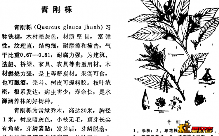 QQ图片20190523111325.png