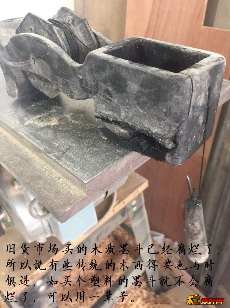 3193.jpg