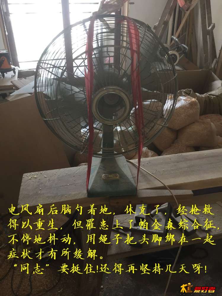 3197.jpg