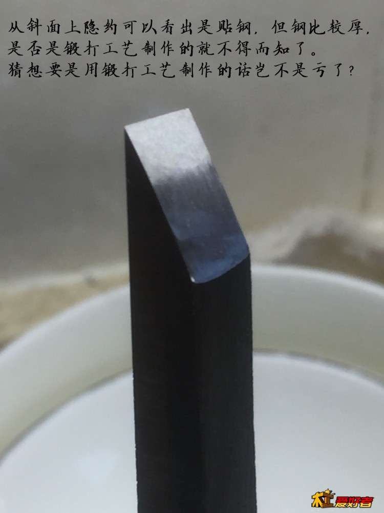 3295.jpg